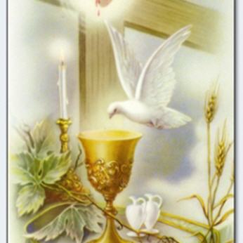 Die Sch&ouml;nheit der Eucharistie